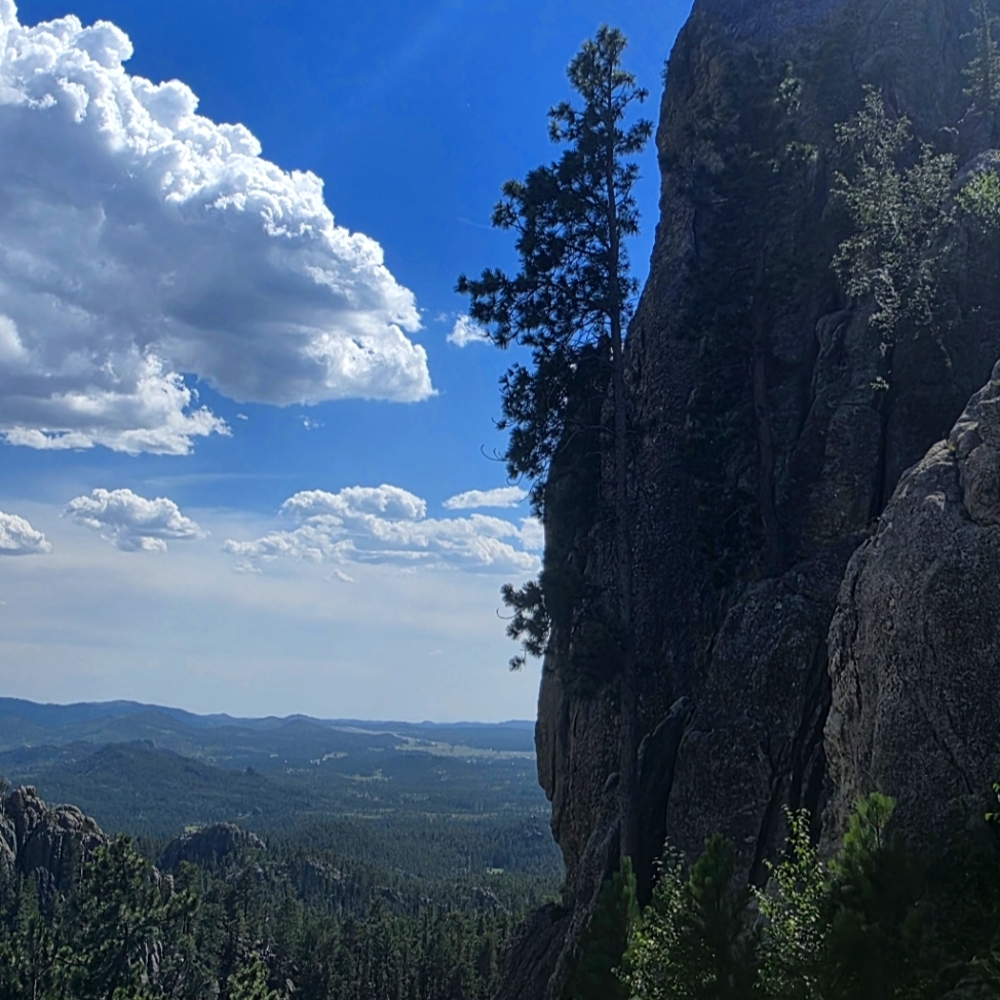 Meet your Posher, Lindsay